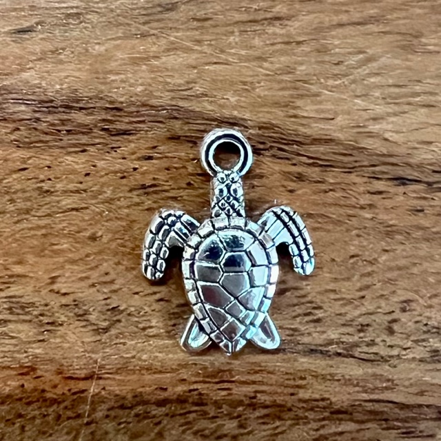 turtle charm