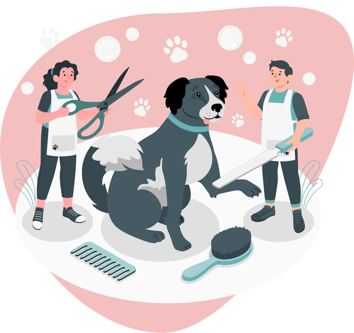 A grooming session of a dog