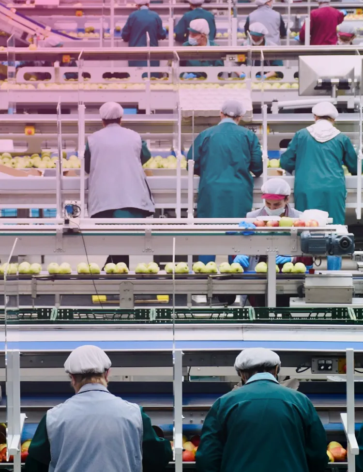 Production team working on a factory floor