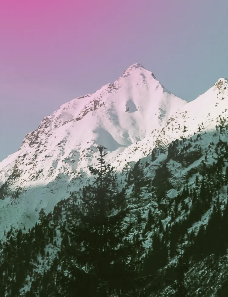 Snow-covered mountain peak above a pine forest