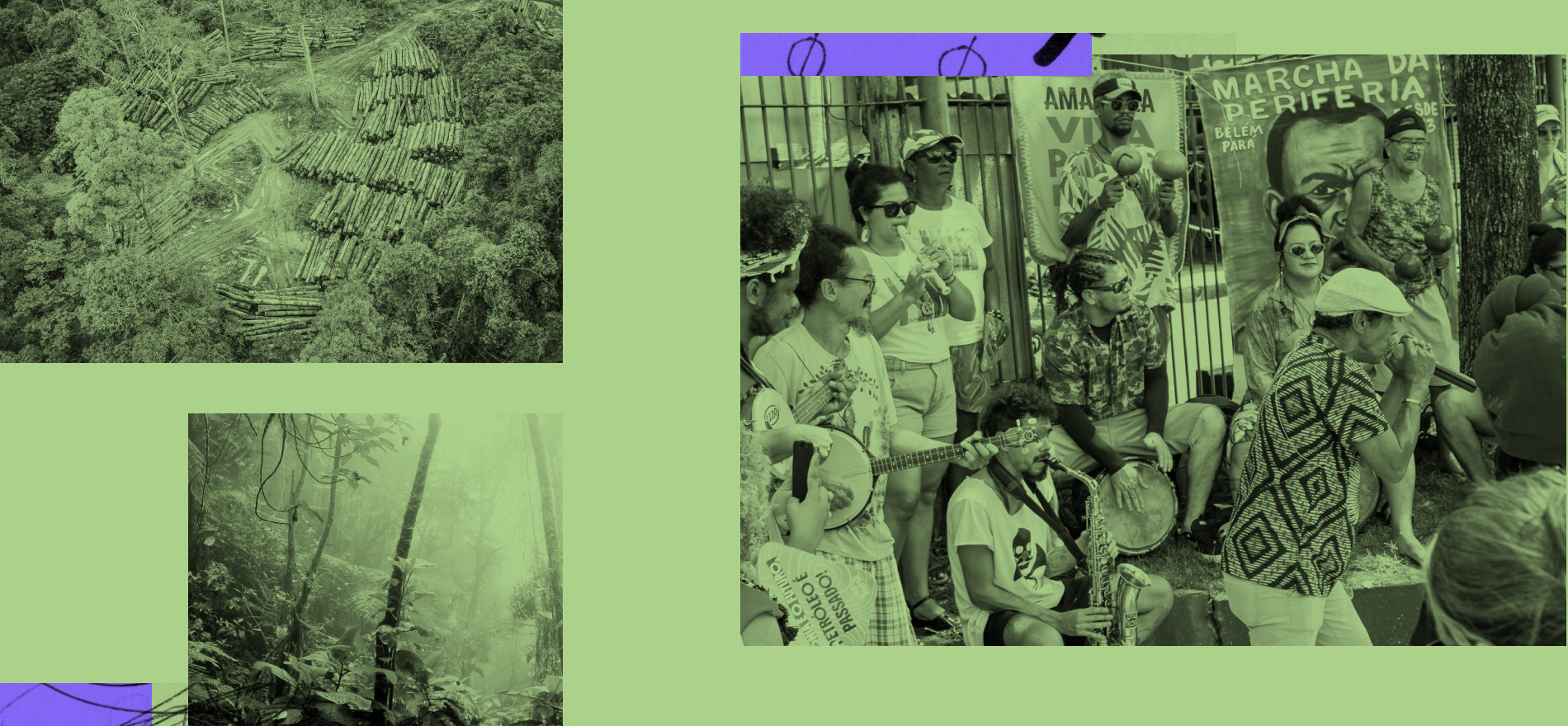 COP30: Confronting the climate crisis from Brazil