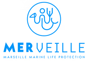 Mer veille