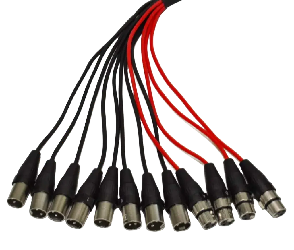 XLR Patch Snake - 0 Send/12 Return - 250'
