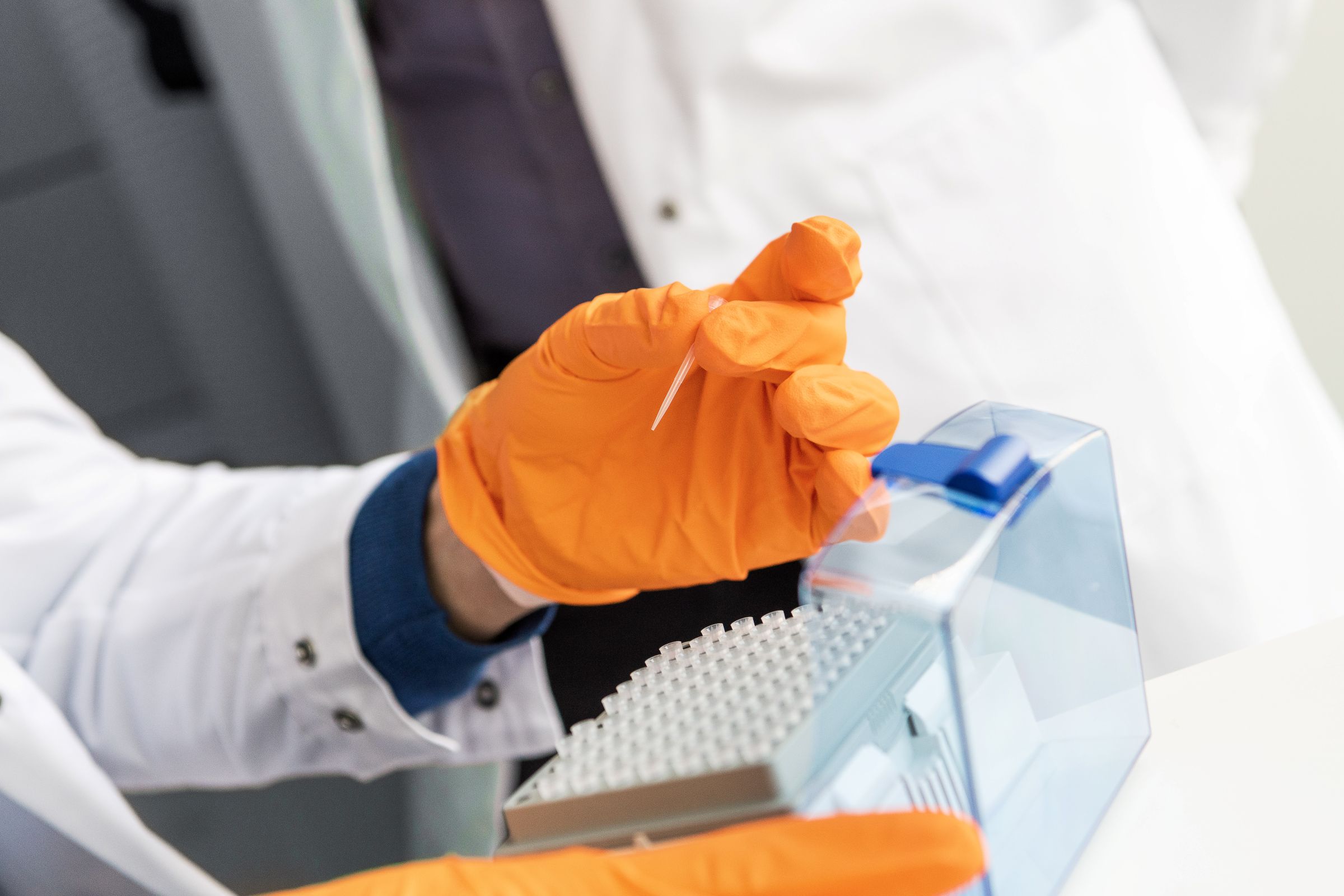 Elypta reports AUR87A cohort 2 validation results in kidney cancer recurrence