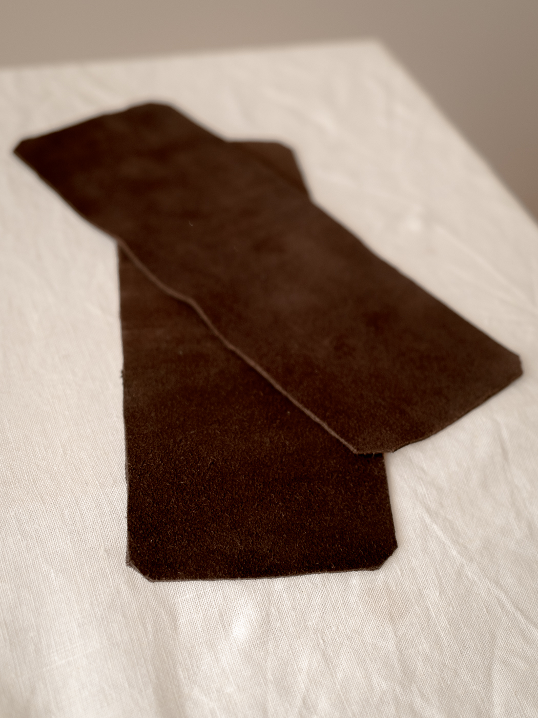 Pair of Leather Strips