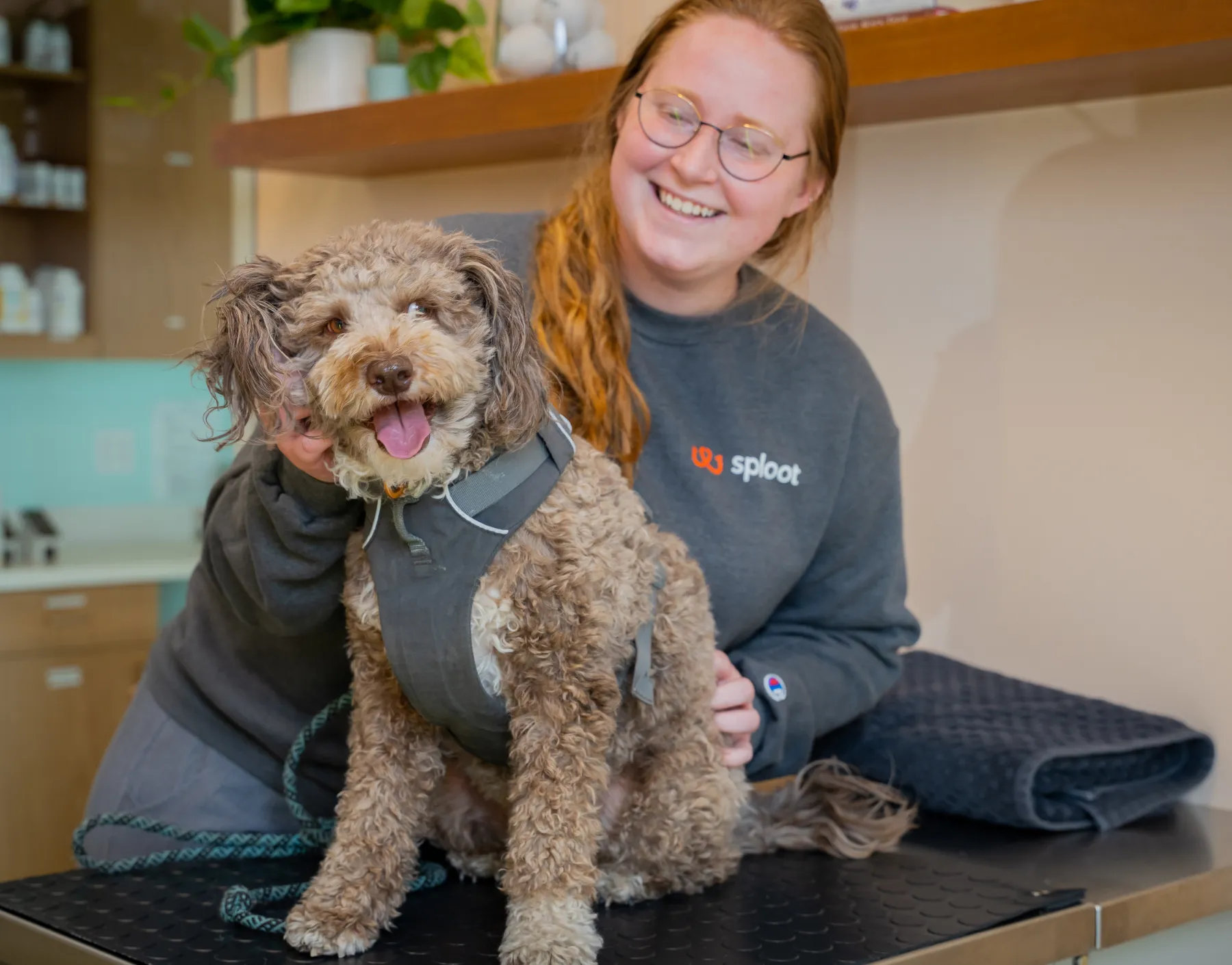 A female Sploot team member petting a dog