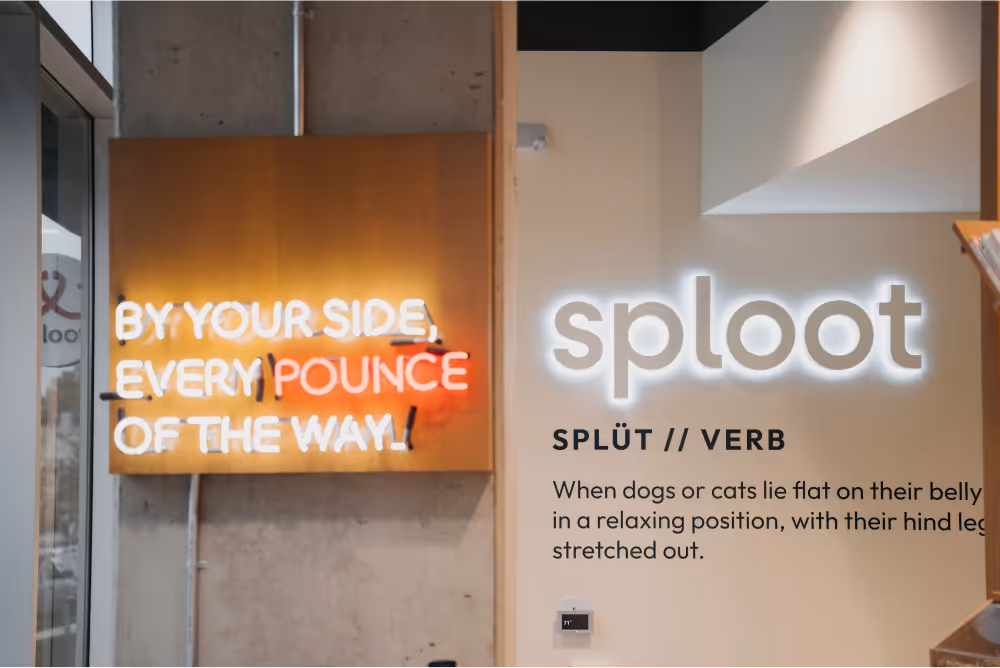 A welcoming sign for a sploot veterinary clinic.

