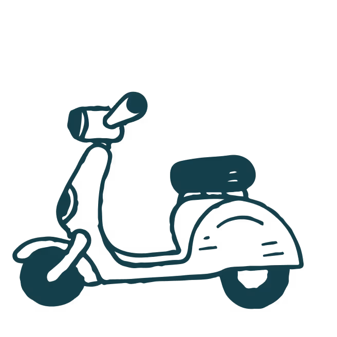 A caring veterinarian holds a cat and gazes at the camera, exemplifying the connection between veterinary professionals and their feline patients