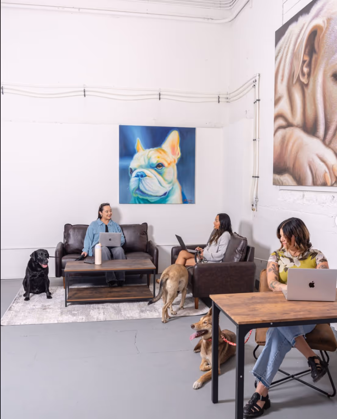Three women working on laptops in a modern office lounge with three dogs and large dog paintings on the walls.