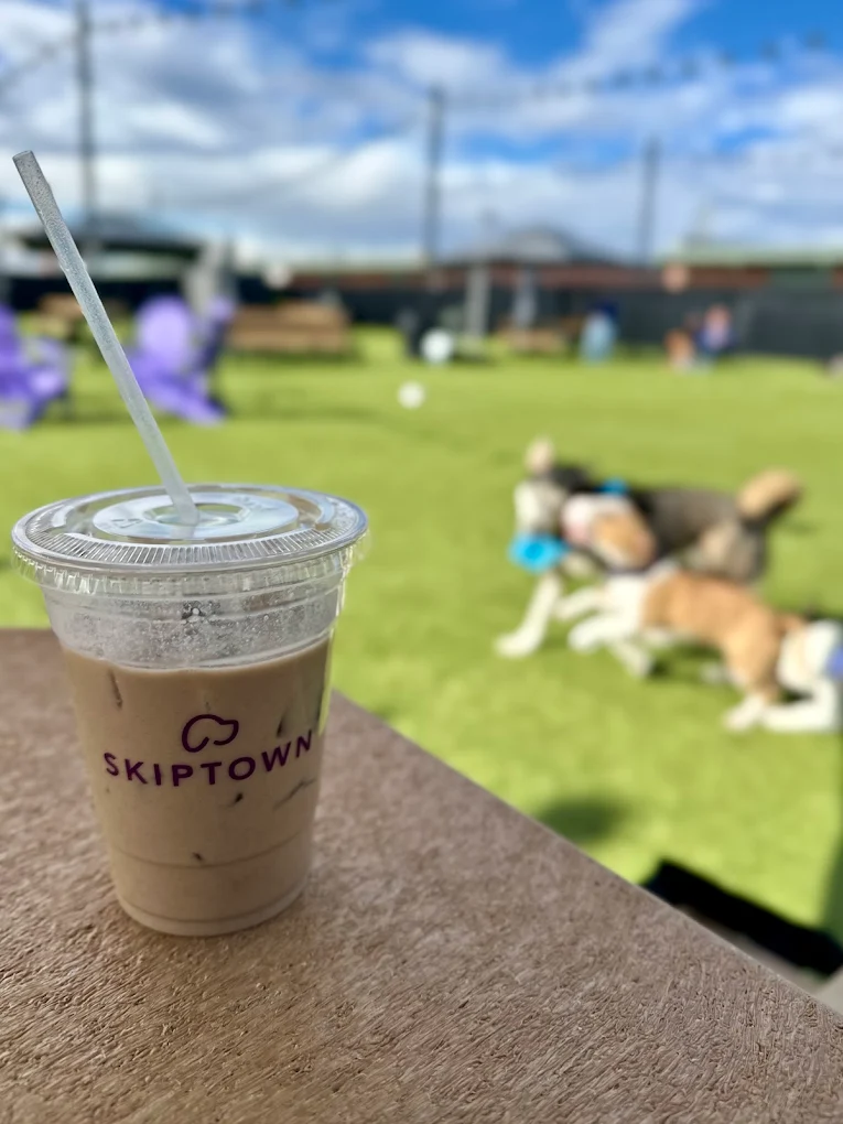 Iced coffee in a plastic cup with a straw on a wooden table, with a blurry dog park and blue sky in the background.