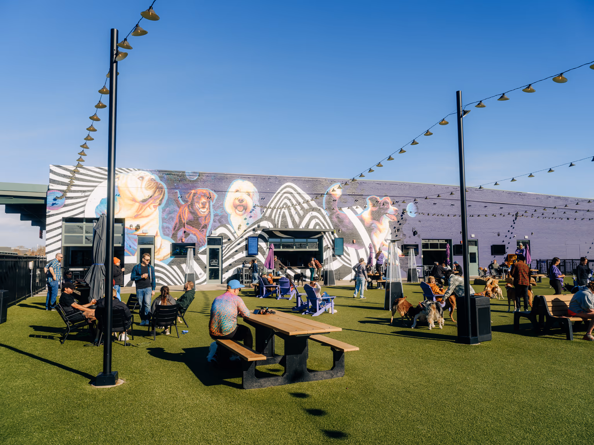 Outdoor dog park with artificial grass, people sitting and standing, dogs playing, and a building wall featuring large colorful dog murals under clear blue sky.