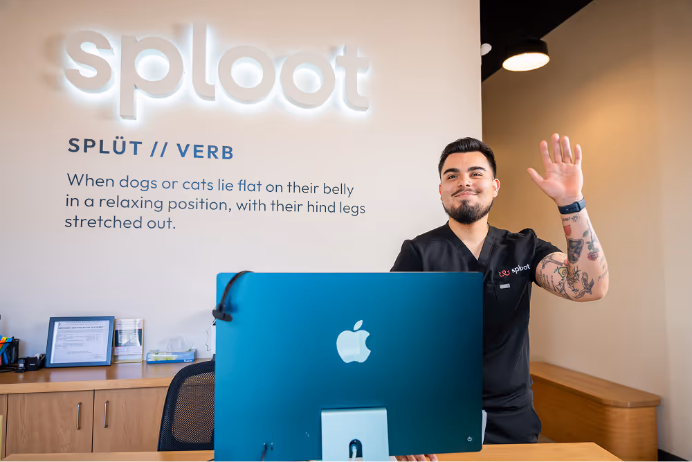 Vet greets at Sploot's Denver clinic, offering urgent, primary, and emergency care in Colorado and Chicago.