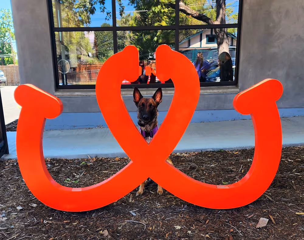 Dog peeking through large red horseshoe outside vet clinic in Denver, Colorado offering urgent care.