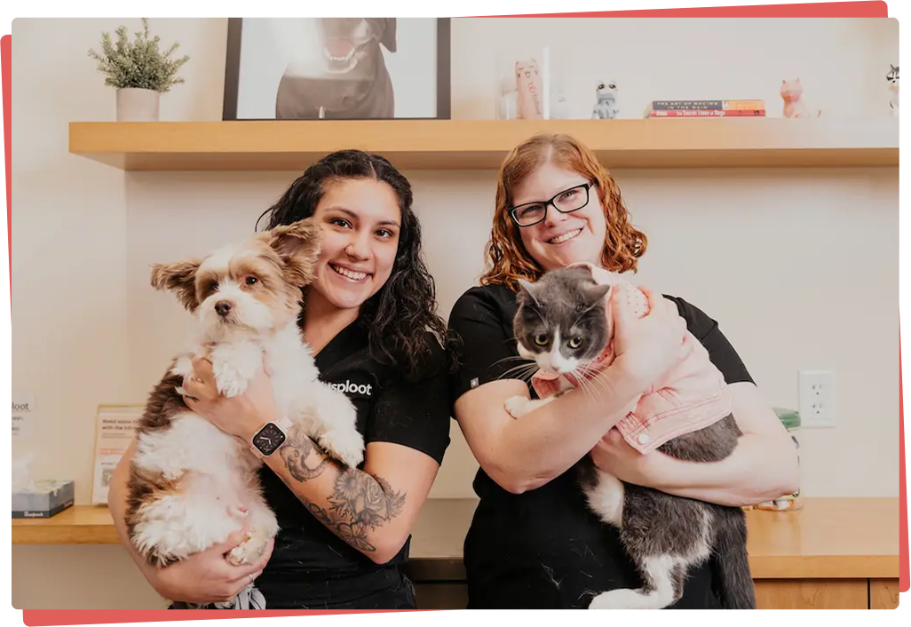 A caring veterinarian comforting a dog by holding its paw while offering a treat.