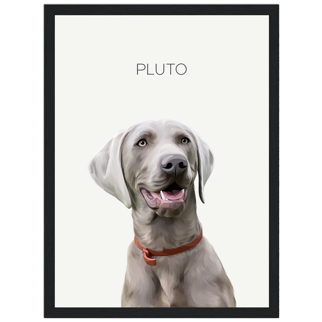 Portrait of a happy Weimaraner dog wearing a red collar beneath the text 'PLUTO'.