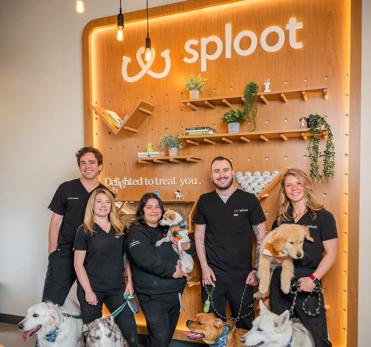 Five veterinary professionals in black scrubs posing with seven dogs in front of a wooden wall with 'sploot' logo and shelves holding plants and books.