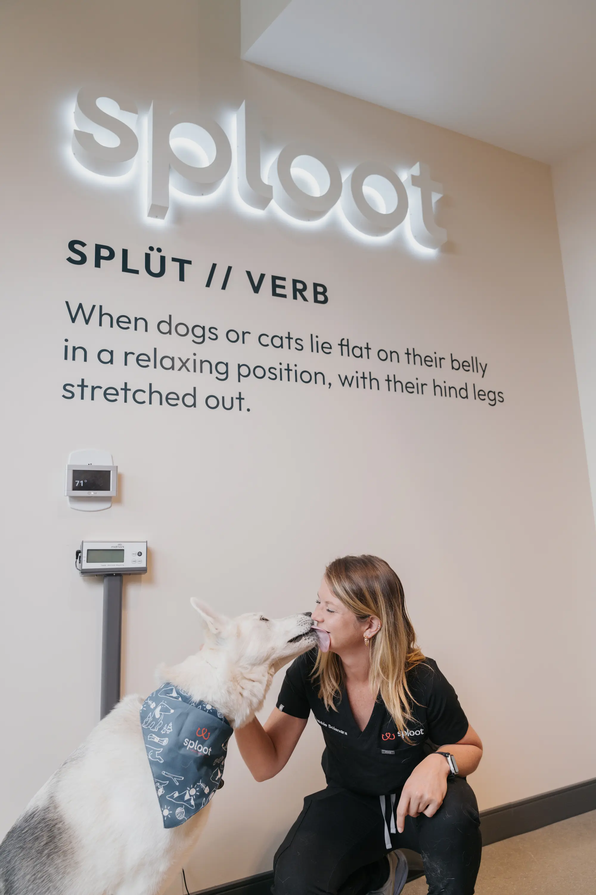 A woman kneels as a dog wearing a bandana licks her face under a 'Sploot' definition wall sign.