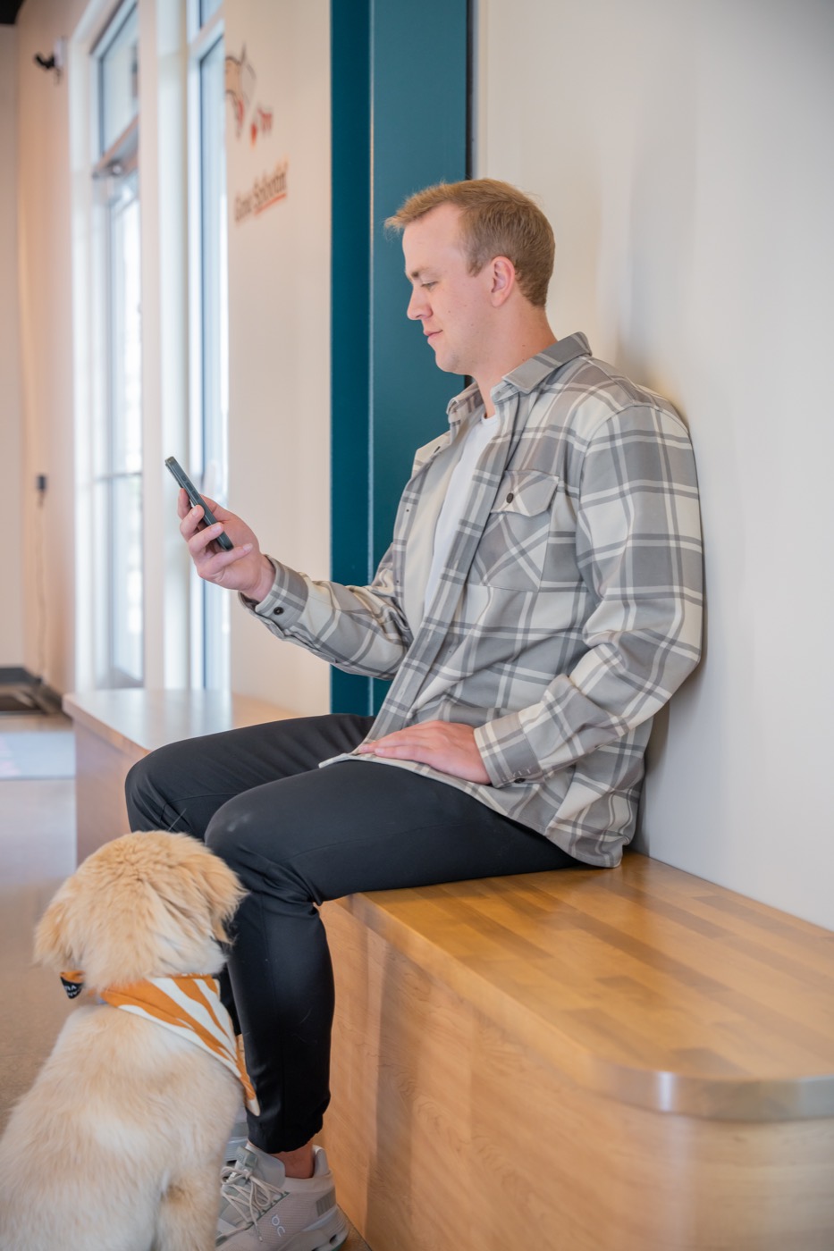 A pet parent staying connected via the Sploot app