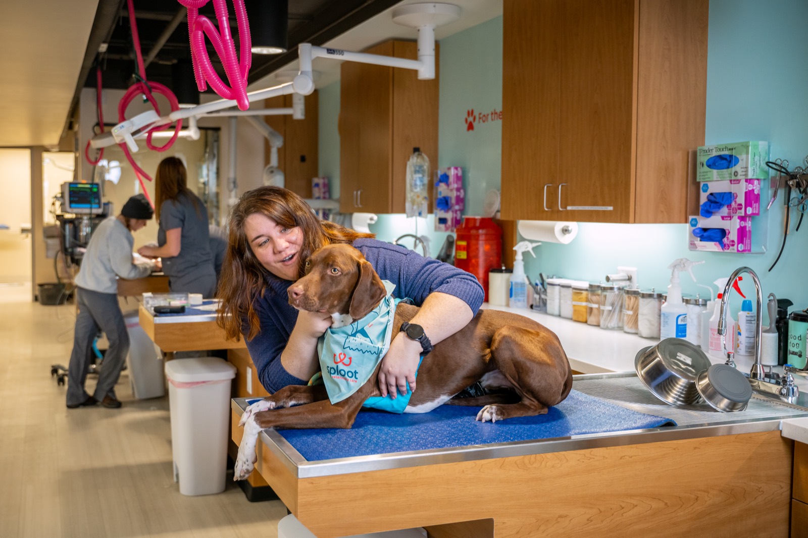 A Sploot team member caring for a dog in the treatment area