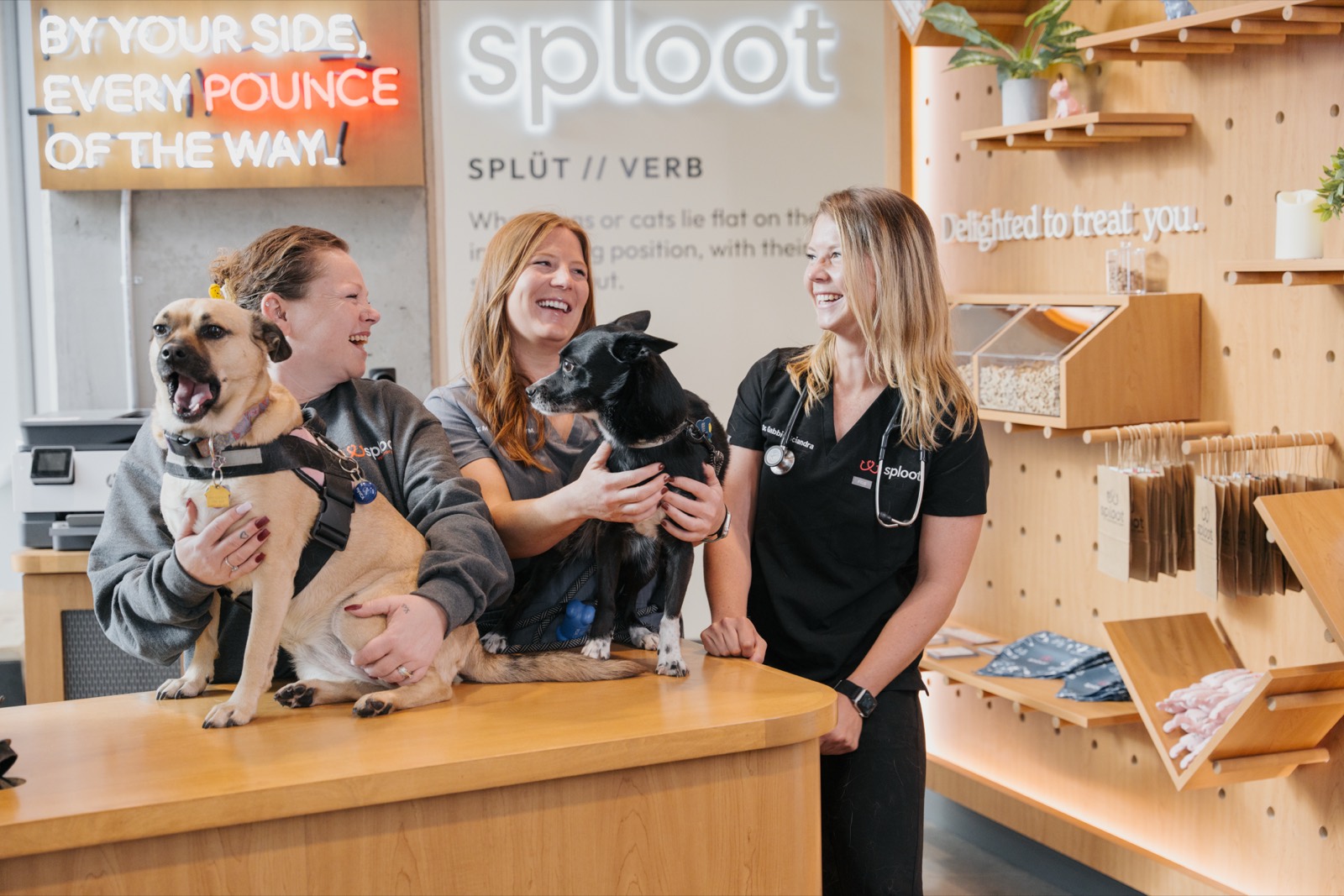 Inside a Sploot clinic
