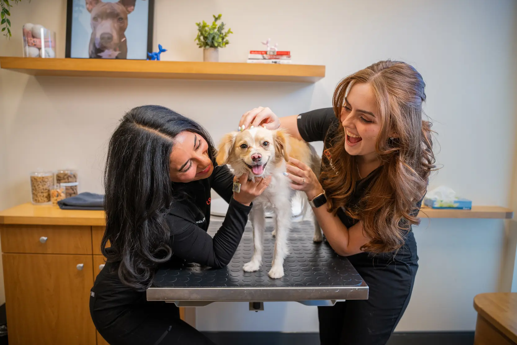 The welcoming front desk at a Sploot clinic