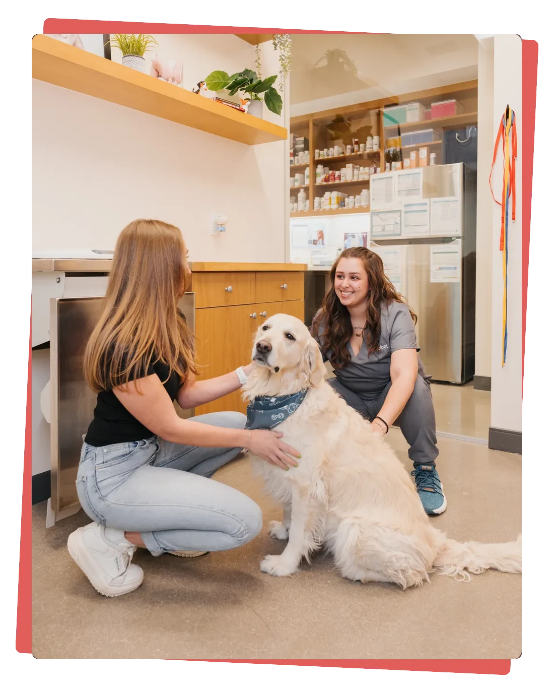 A pet parent and a Sploot veterinary team member kneel to greet a golden retriever in a bright Sploot clinic