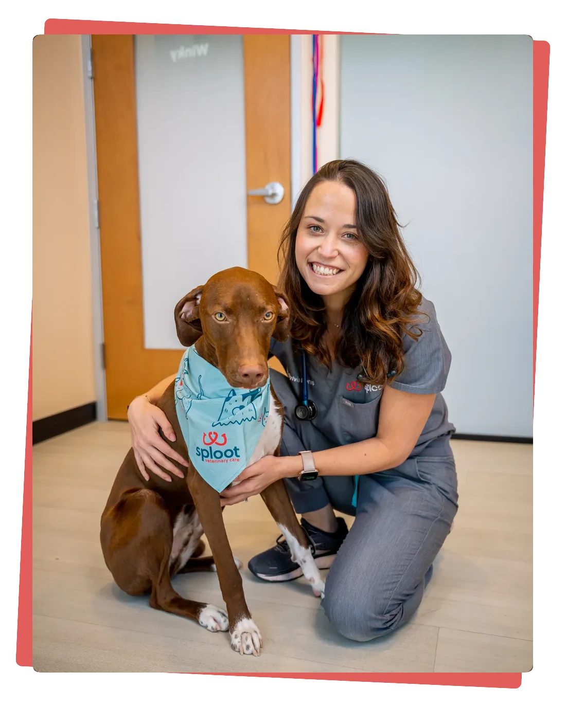 A smiling Sploot veterinary team member kneels and hugs a brown and white dog wearing a Sploot bandana
