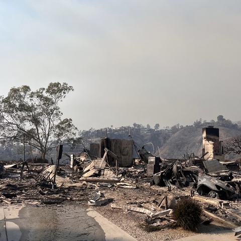 What do you gain when you lose everything?