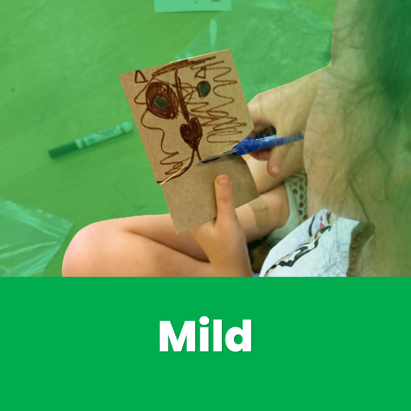 Mild: Sparks for all learners
