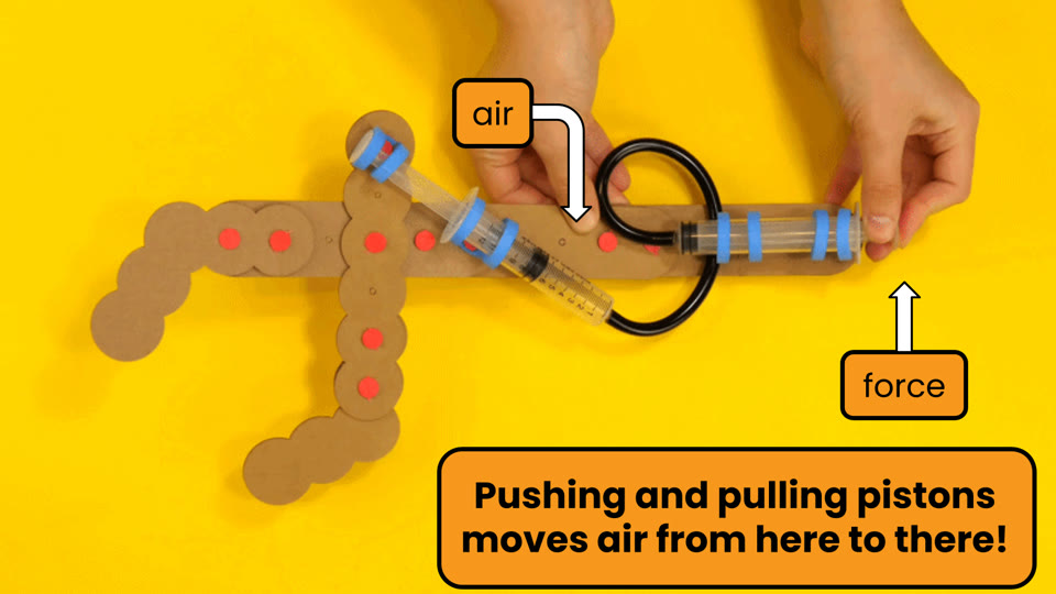 Learner slide: pushing and pulling pistons moves air from here to there, opening and closing the claw