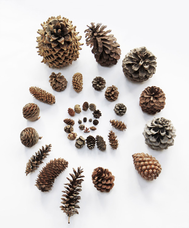 Intro to the blog illustration