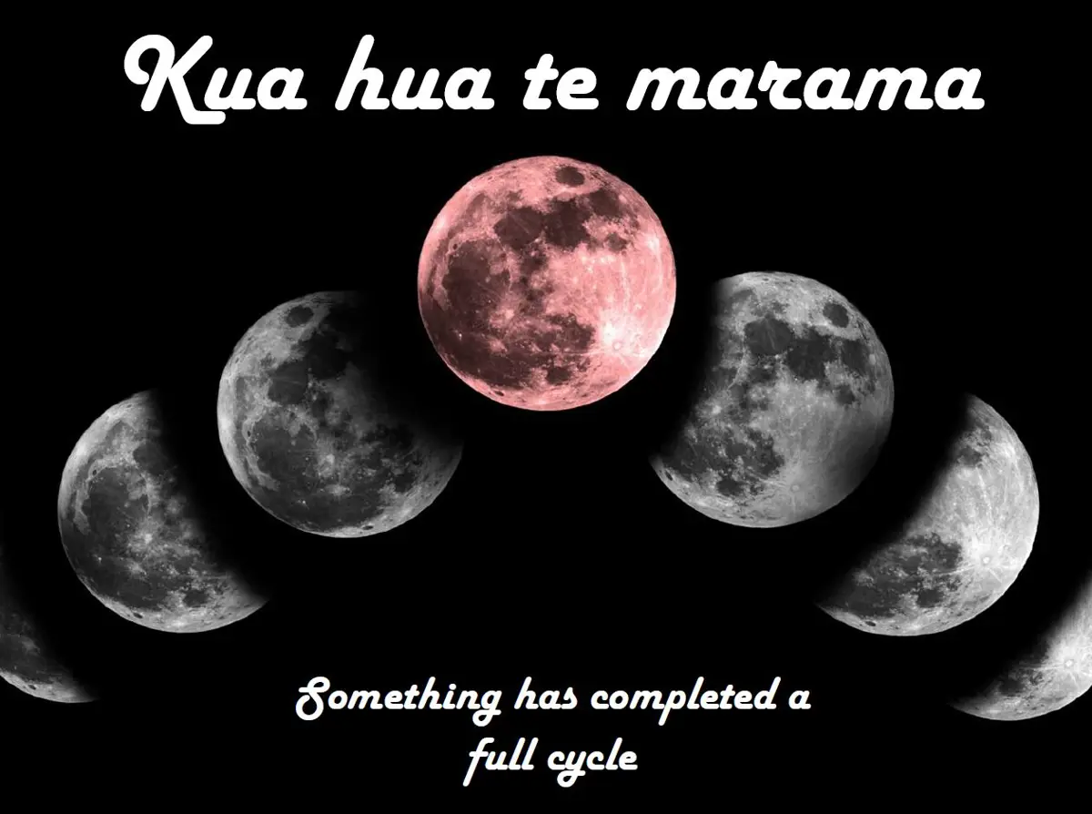 Intro to the blog illustration