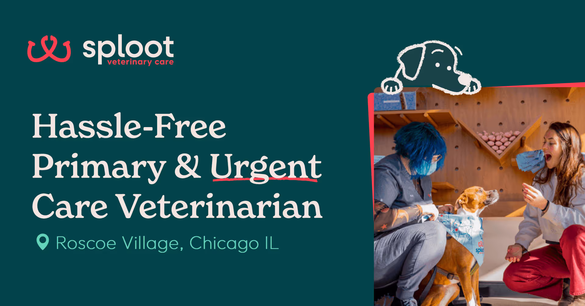 Sploot Veterinary Care - Roscoe Village