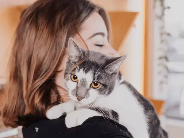 A cat going to Sploot Vets for vet care, representing cat ear infection treatment