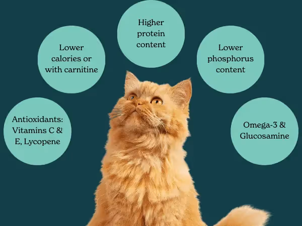 A cat surrounded by texts listing the features to look for in the best senior cat food