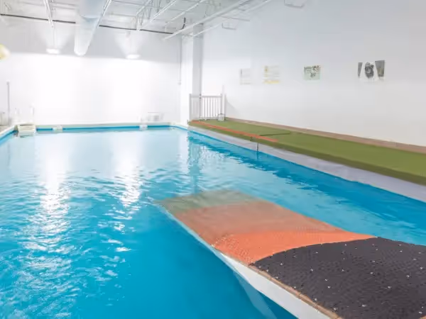 A photo of CRCG’s dog pool near Colorado Springs