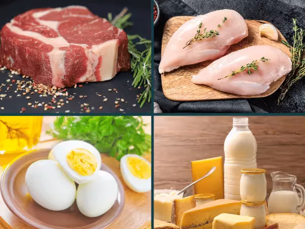 A photo showing beef, chicken, eggs, and dairy, common sources of food allergies in dogs like chicken allergy in dogs