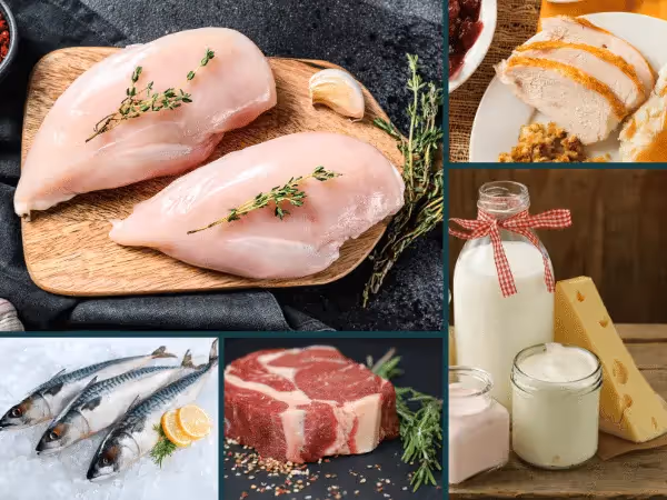 Photos of chicken meat (a source of chicken allergy in cats), turkey meat, fish, beef, and dairy - all potential triggers of food allergies in cats