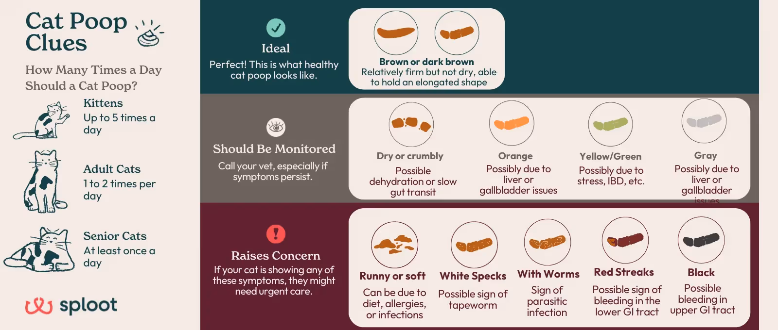 An infographic showing the meaning of worms in cat poop, blood in cat poop, black cat poop, cat poop grey color, and other unusual cat poop colors.