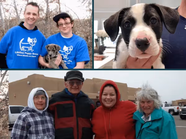 Photos of Lifeline Puppy Rescue, a puppy shelter near Denver, Colorado