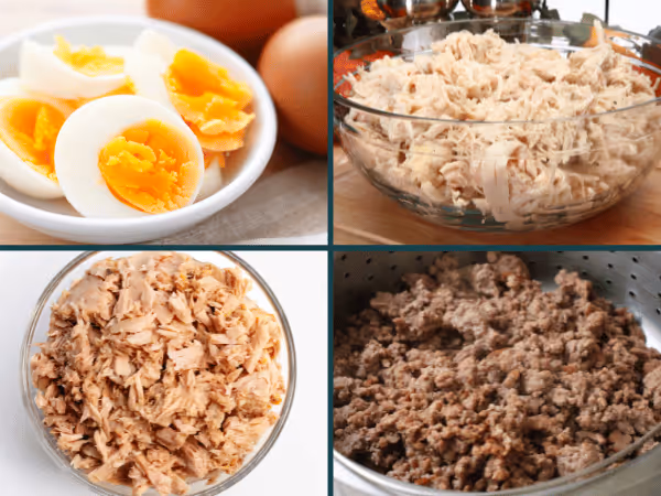 plain eggs, chicken, tuna, and ground beef, some of the best homemade kitten treats with a lot of protein