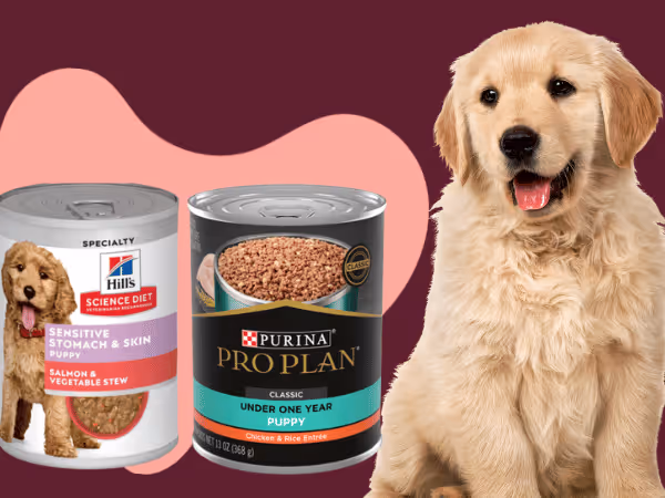Two examples of the best wet puppy food for sensitive stomachs from Hill’s Science and Purina