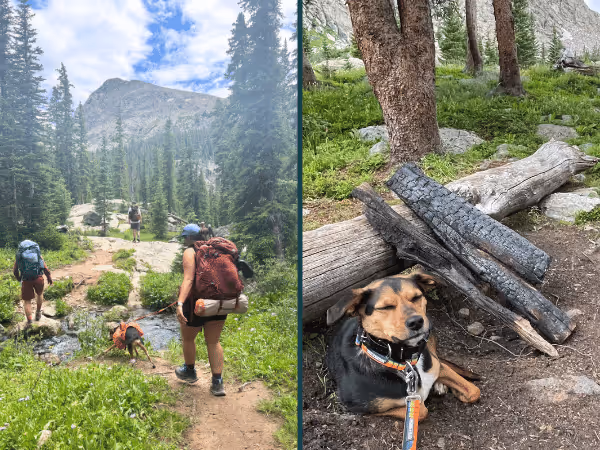 Photos of a pet parent hiking with a dog using a sturdy leash with restricted length for safety during hiking