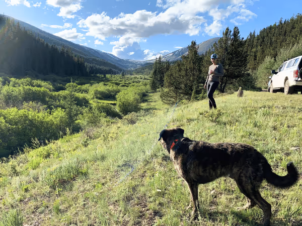 A pet parent camping with a dog in beautiful, dog-friendly campgrounds