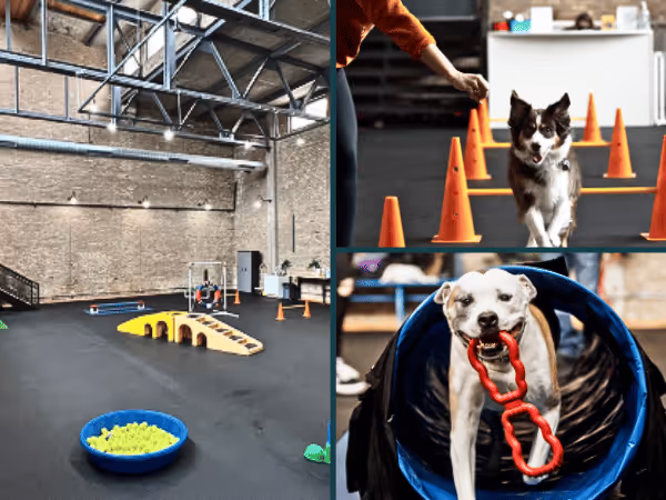 The amenities of Bosly’s Backyard, an indoor dog park in Chicago