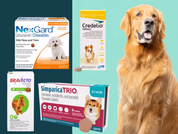 Oral medications or flea and tick pill for dogs