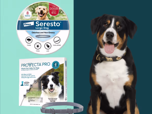 Flea and tick collars for dogs to prevent or control flea and tick infestations