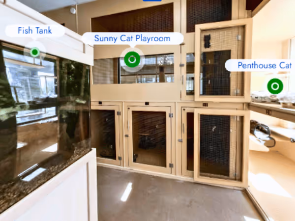 The cat suites in Club Pet Resorts, a cat boarding facility near Denver Colorado