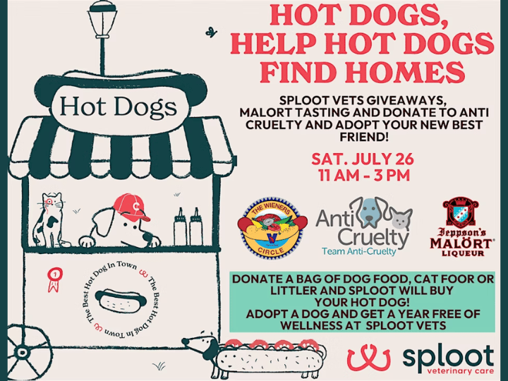 Donate pet supplies for a hot dog, meet adoptable pups, taste Malört, win vet giveaways & let your dog splash around—Chicago fun for you & your dog!