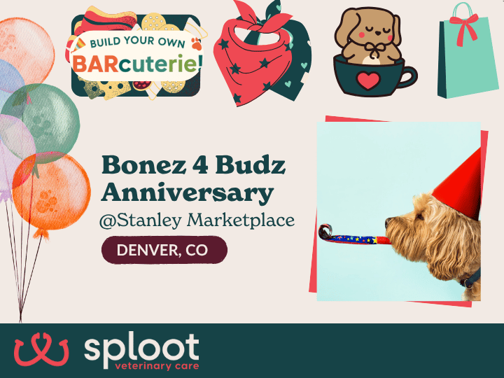 Celebrate Bonez 4 Budz's Anniversary this Saturday with dog treats, custom bandanas, pup cups & more at Stanley Marketplace! 
